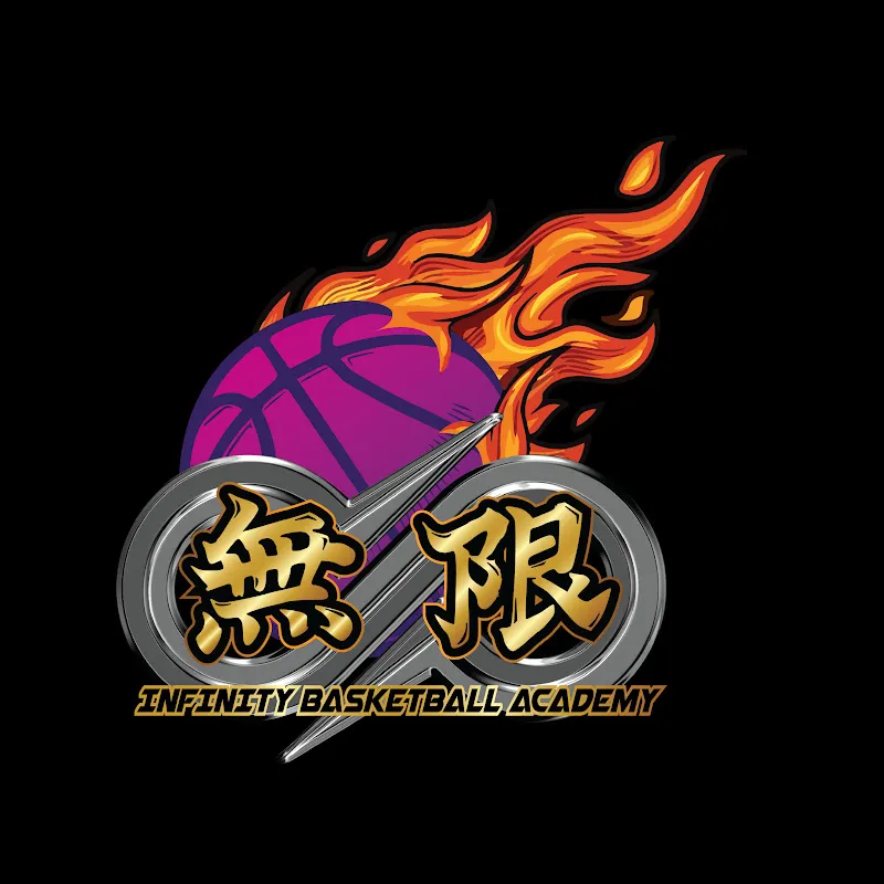 无限篮球 THE NEXT