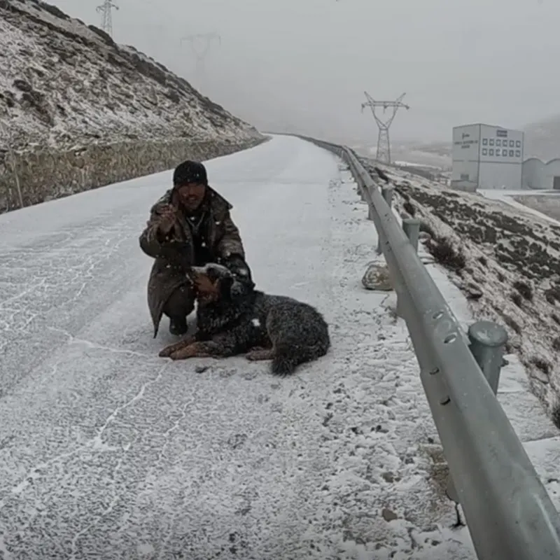 东戈黑黑旅行记【官方账号】